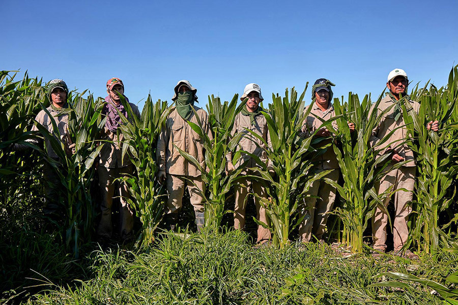 Los muchachos trabajadores rurales de Venado Tuerto - Fotografía de Maria Zorzon