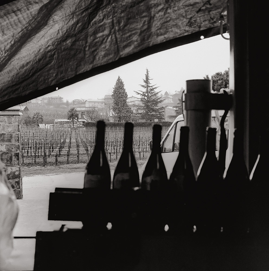 Lavoro con il vino, Brazzano di Cormons, 2005 - Fotografía de María Zorzon